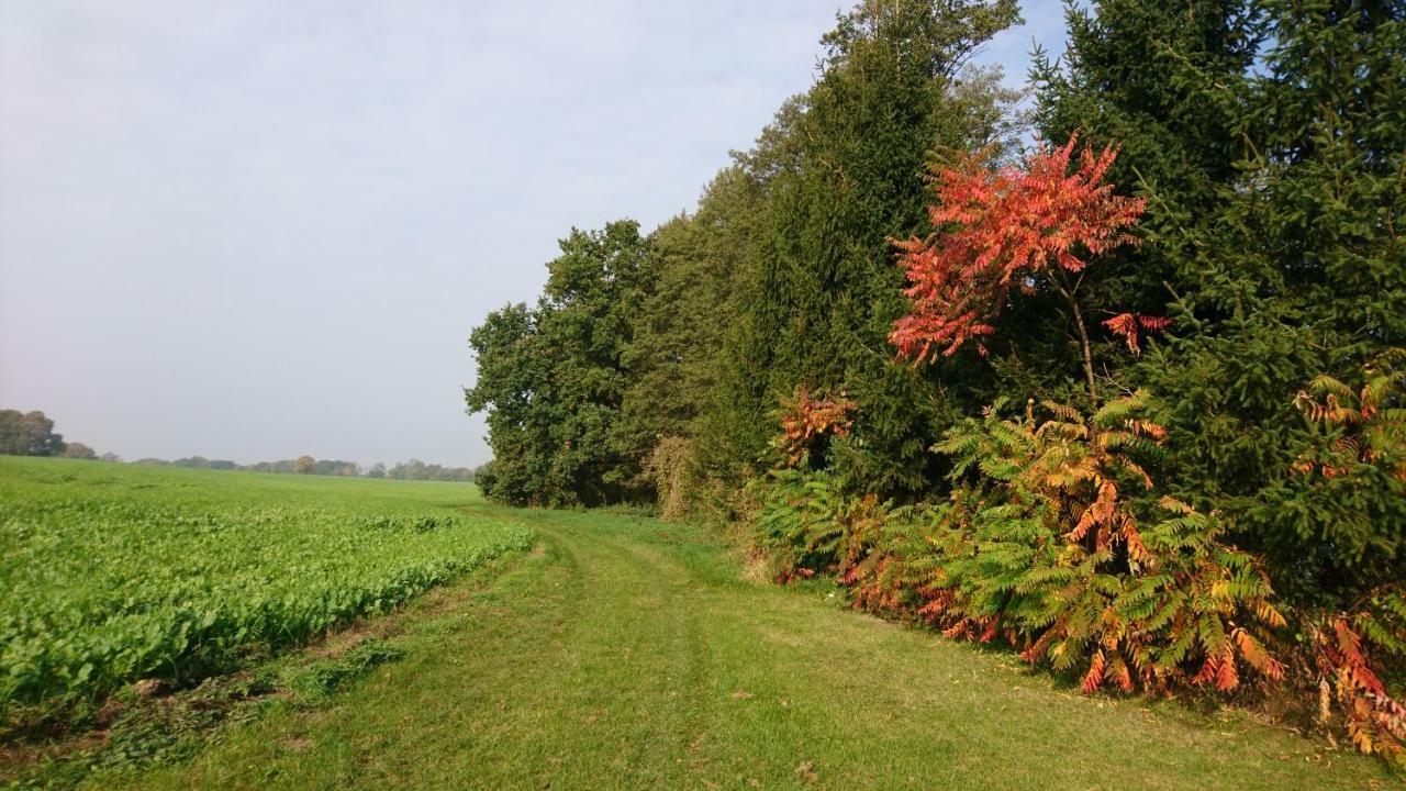 Kulturfreizeiten Neuruppin