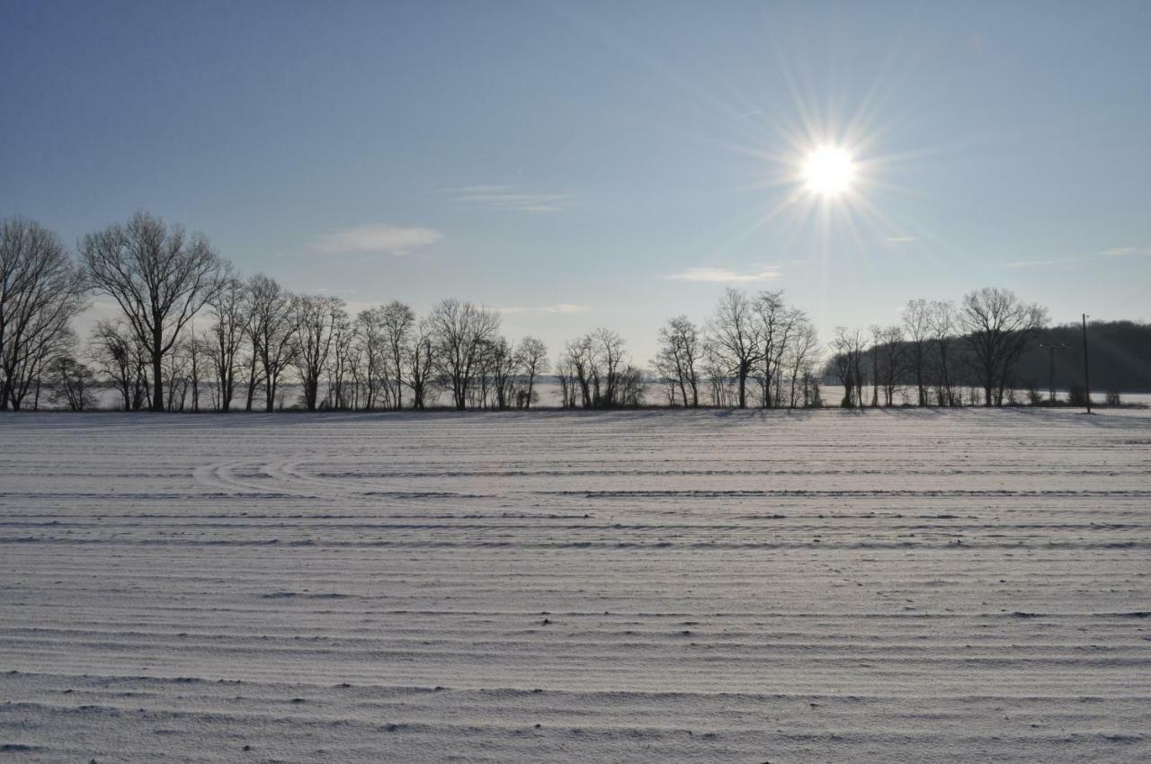 Kulturfreizeiten * Neuruppin